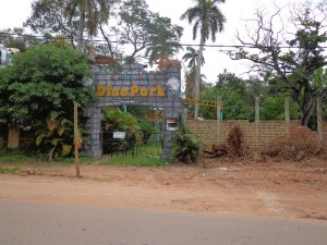 DSC002541