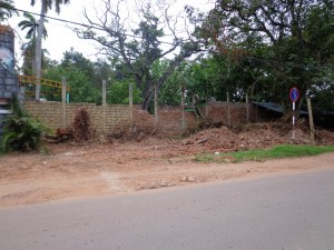DSC00255