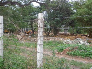 DSC00259