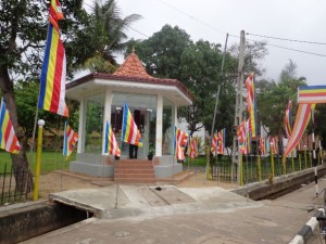 DSC00754
