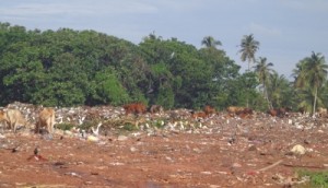 Kunu 1