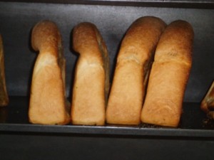 DSC01604