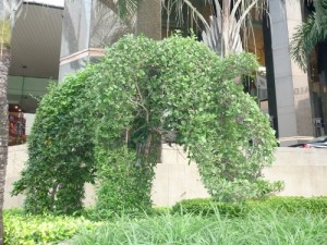 P1010276