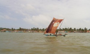 RIMG0014