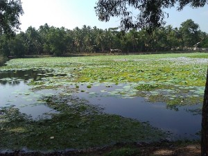 WP 000807