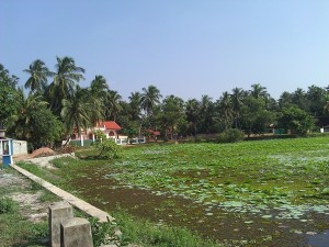 WP 000810