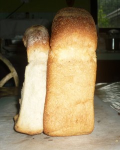 bread 2