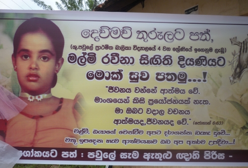 dengu death 2