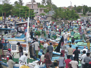 fish protest