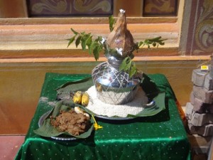 pongle 1