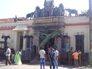 pongle 3
