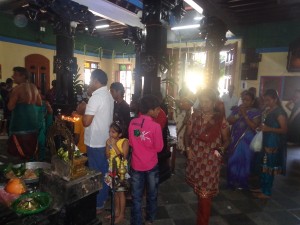 pongle 5