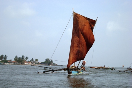 DSC021641