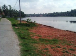 WP 0001421