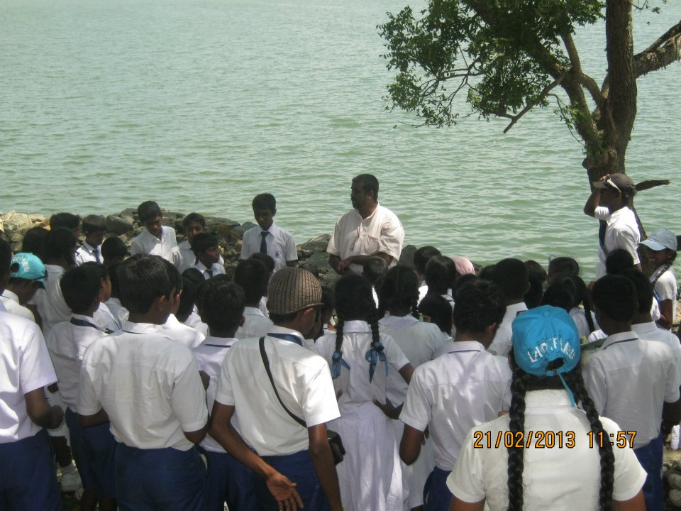 kuda p sms 5
