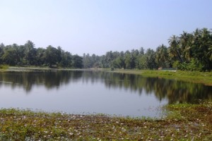 wen lake2