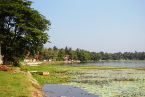wen lake3