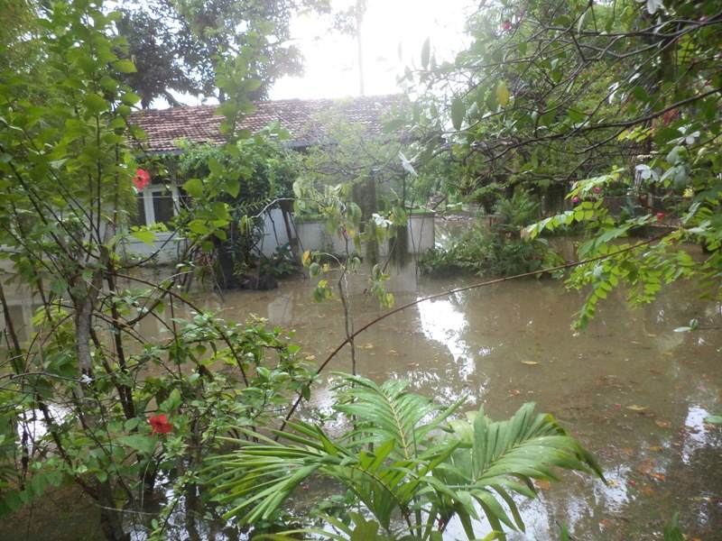 rd flood new 2