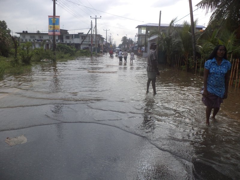 rd flood new 4