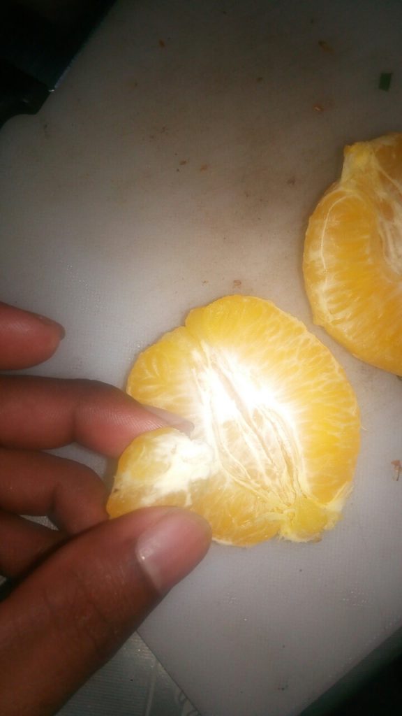 tmp_29127-image-0-02-06-0564f947c3d73422ed088ef6b4617af931275155222ca087428eafa82a3bbac3-V721978656