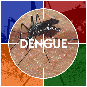Dengue_5.gif