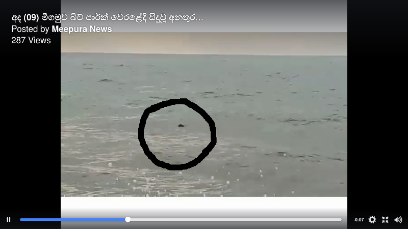 බිච් පාක් එකේ දියේ ගිලී මියයන ජිවිත, ආරක්ෂා කිරිමේ වැඩපිළිවෙලක් ගැන නාගරිකකොමසාරිස් නිහඩ ඇයි ? 4 එක් තරුණයෙකු දියේ ගිලි යමින් තිබෙන අයුරු ....