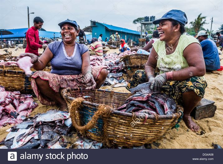 negombo-fish-market-lellama-fish-market-women-gutting-fish-negombo-DG4A08
