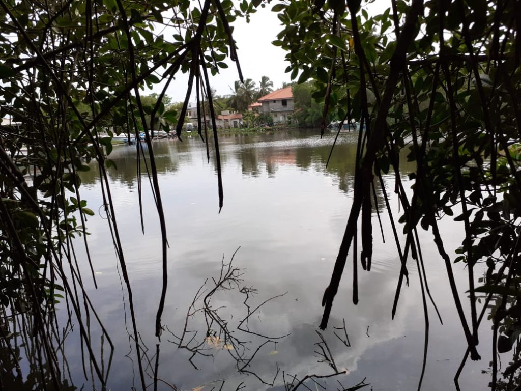 IMG-20190604-WA0005