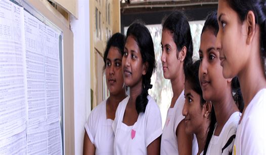 සාමාන්ය පෙළ ප්රථිපල ලබන සතියේ ...? 3 OL-examination-results