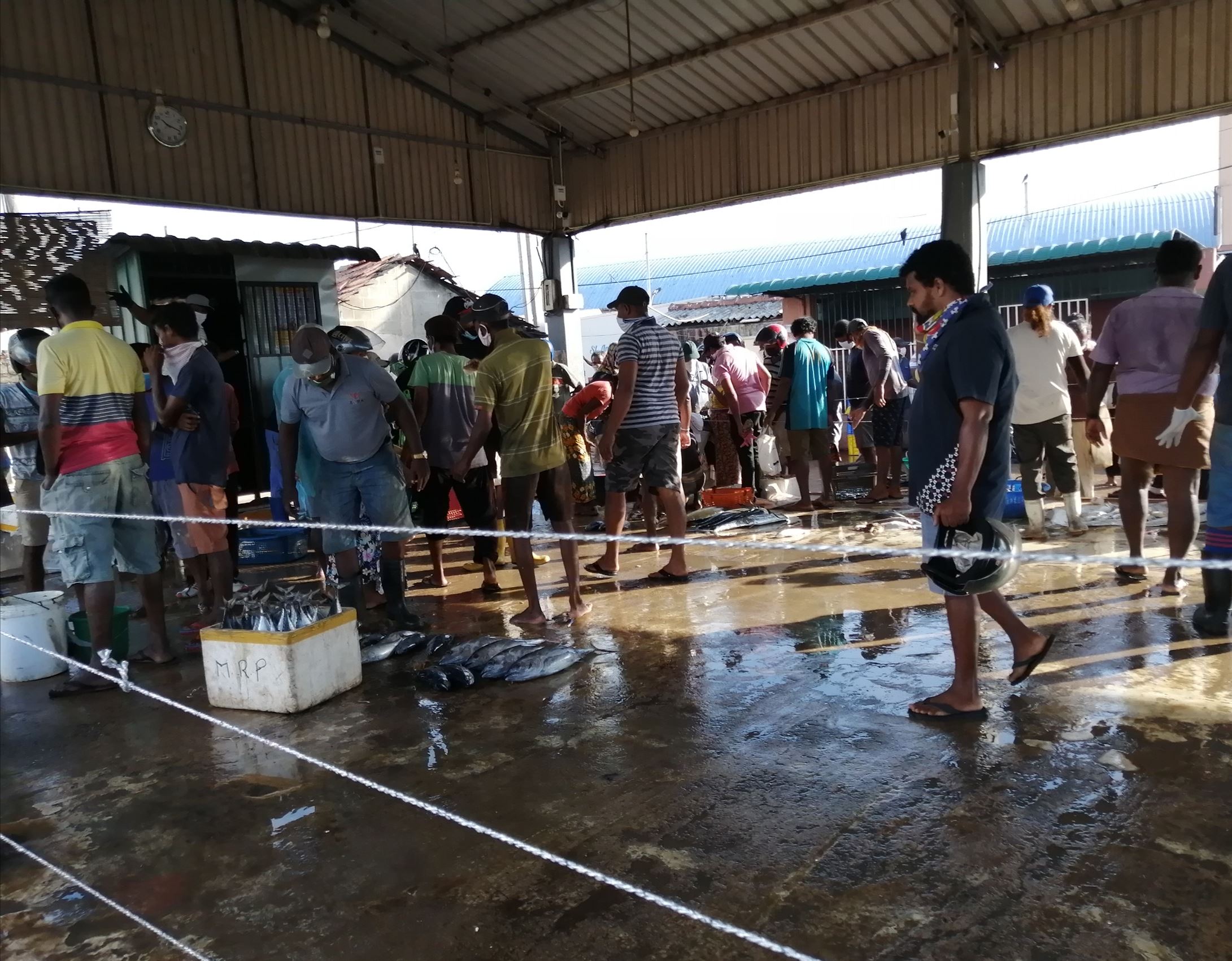 මීගමුවේ ප්රධාන ලෙල්ලම් සියල්ල අද සිට විවෘතයි! 1 ptr