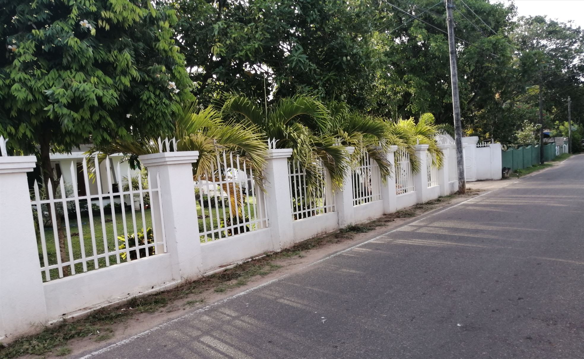 මීගමුවේදි සුරතල් සුනඛයෙකුට වෙඩි තබා ඝාතනය කළ විශ්රාමික පොලිස් අධිකාරිට ඇප ! 14 dav