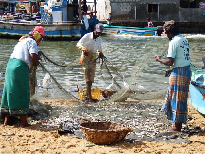 පොඩි බෝට්ටු 2