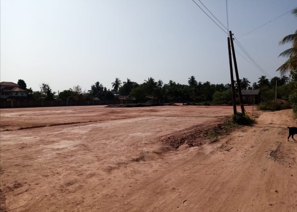 පිටිය 1
