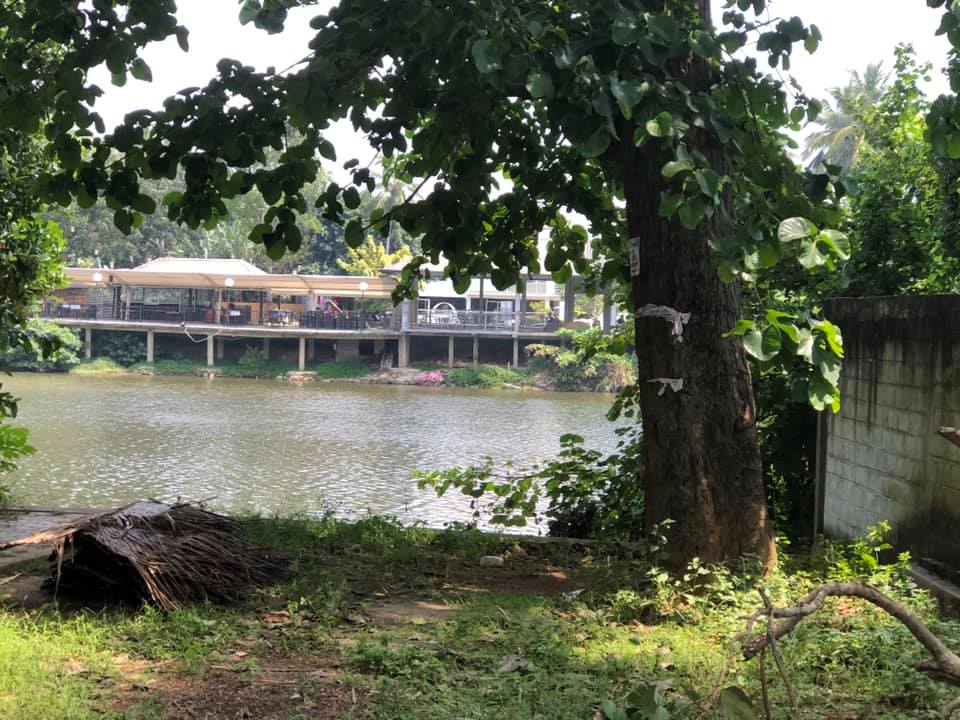 161771017 10159091341114894 1370065680517612197 n