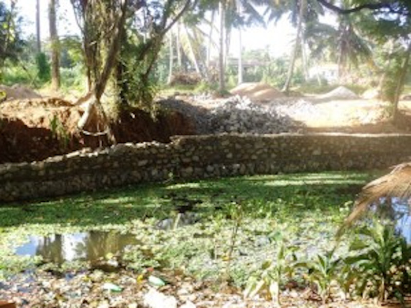 ඇත්තටම පිස්සු කාටද ?පරිසරය රකින දේවානිටද ? එය විනාශ කිරිමට අනුබල දුන් රාජ්ය ඇමතිටද ? 1 thoppuwa ala1 2
