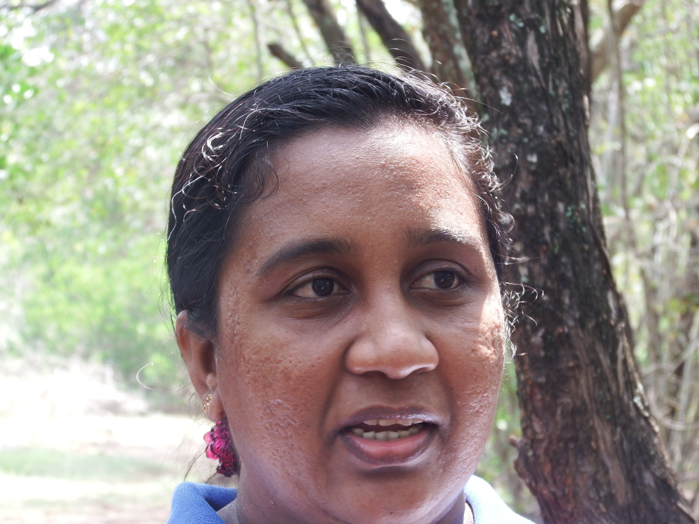 මිගමුවේ කඩොලාන පරිසරය රැකගන්න තරුණ තරුණියෝ පෙරමුණ ගනිති . 9 youth event 10