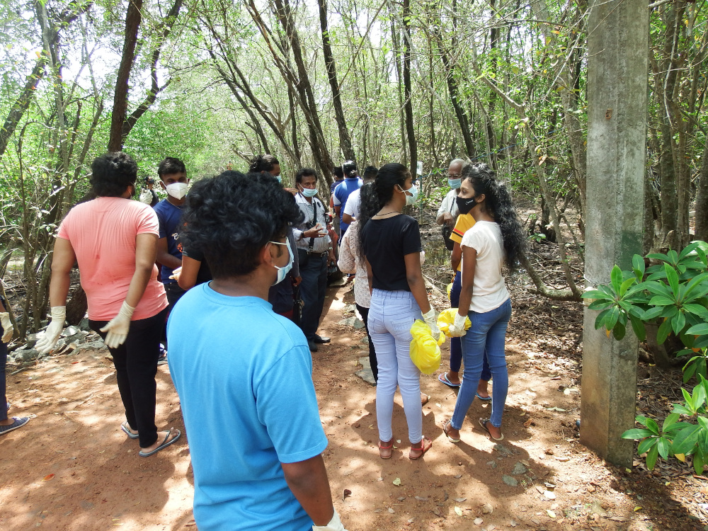 මිගමුවේ කඩොලාන පරිසරය රැකගන්න තරුණ තරුණියෝ පෙරමුණ ගනිති . 8 youth event 11