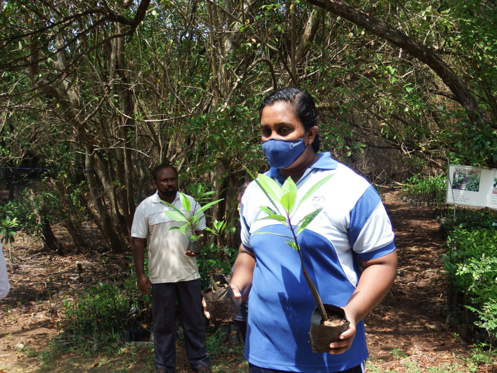 මිගමුවේ කඩොලාන පරිසරය රැකගන්න තරුණ තරුණියෝ පෙරමුණ ගනිති . 2 youth event 3