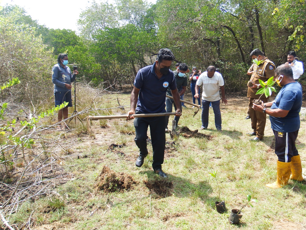 මිගමුවේ කඩොලාන පරිසරය රැකගන්න තරුණ තරුණියෝ පෙරමුණ ගනිති . 5 youth event 7