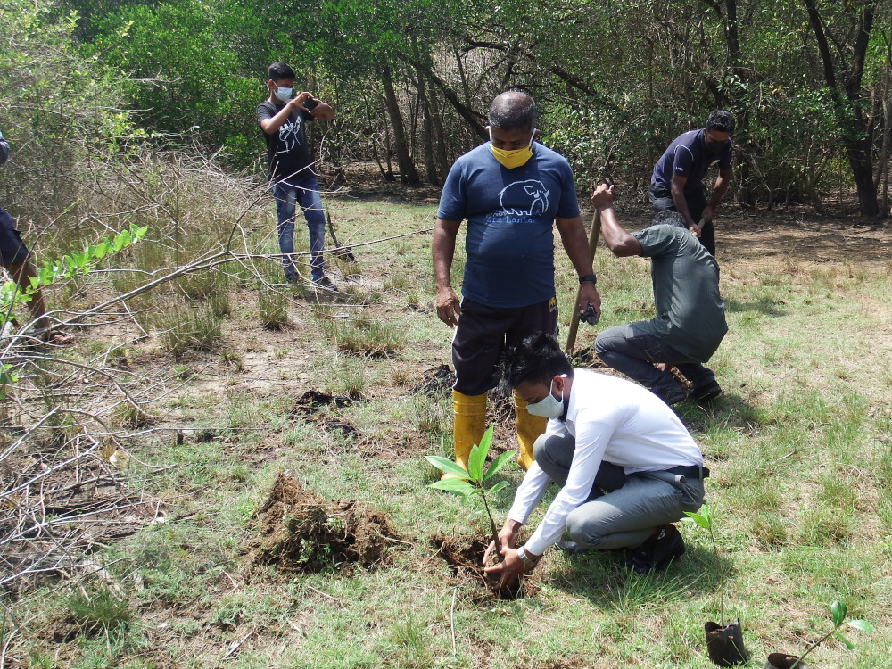 මිගමුවේ කඩොලාන පරිසරය රැකගන්න තරුණ තරුණියෝ පෙරමුණ ගනිති . 7 youth event 9
