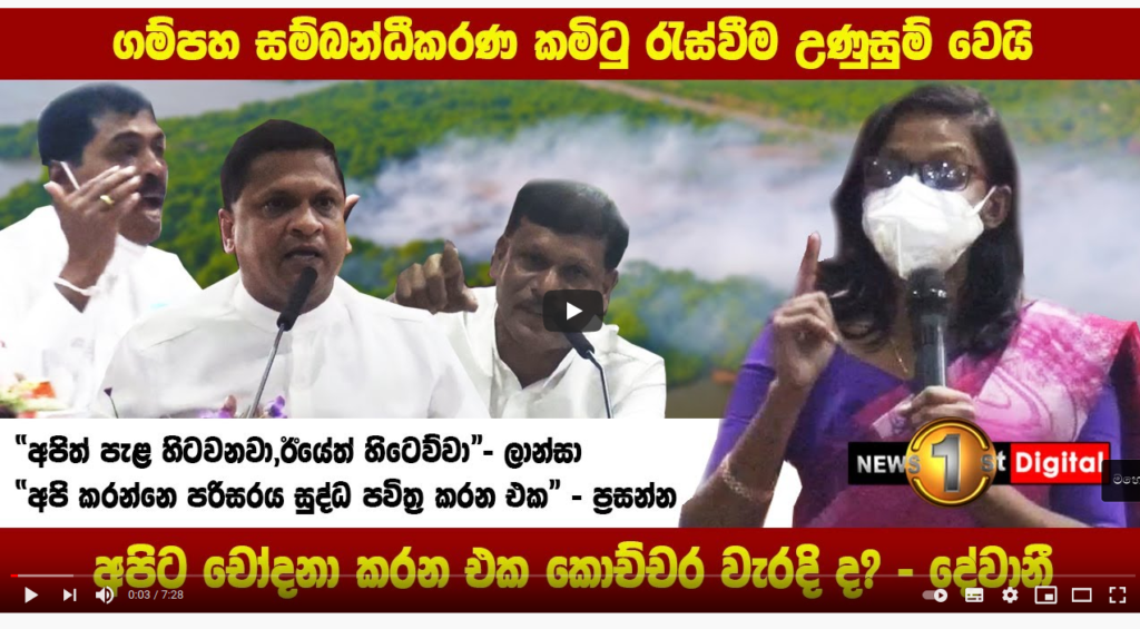 කඩොල් කැලෙන් අක්කර 8 ක් කපා විනාශ කළ ඇමති ලංසා දේවානි ඉදිරියේ බොරු කියයි !(විඩියෝ) 1