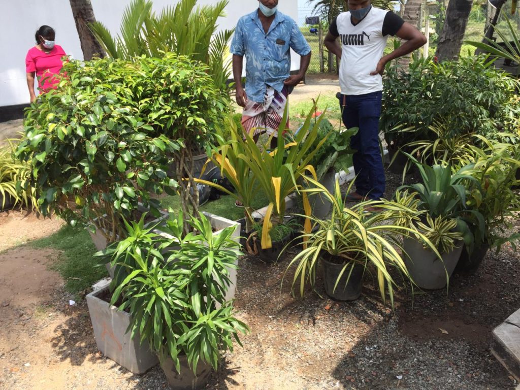 මල්පොච්චි හොරකම් කළ නගරසභා රියදුරෙක් අත්අඩංගුවට .. 1 IMG 20210413 WA0021