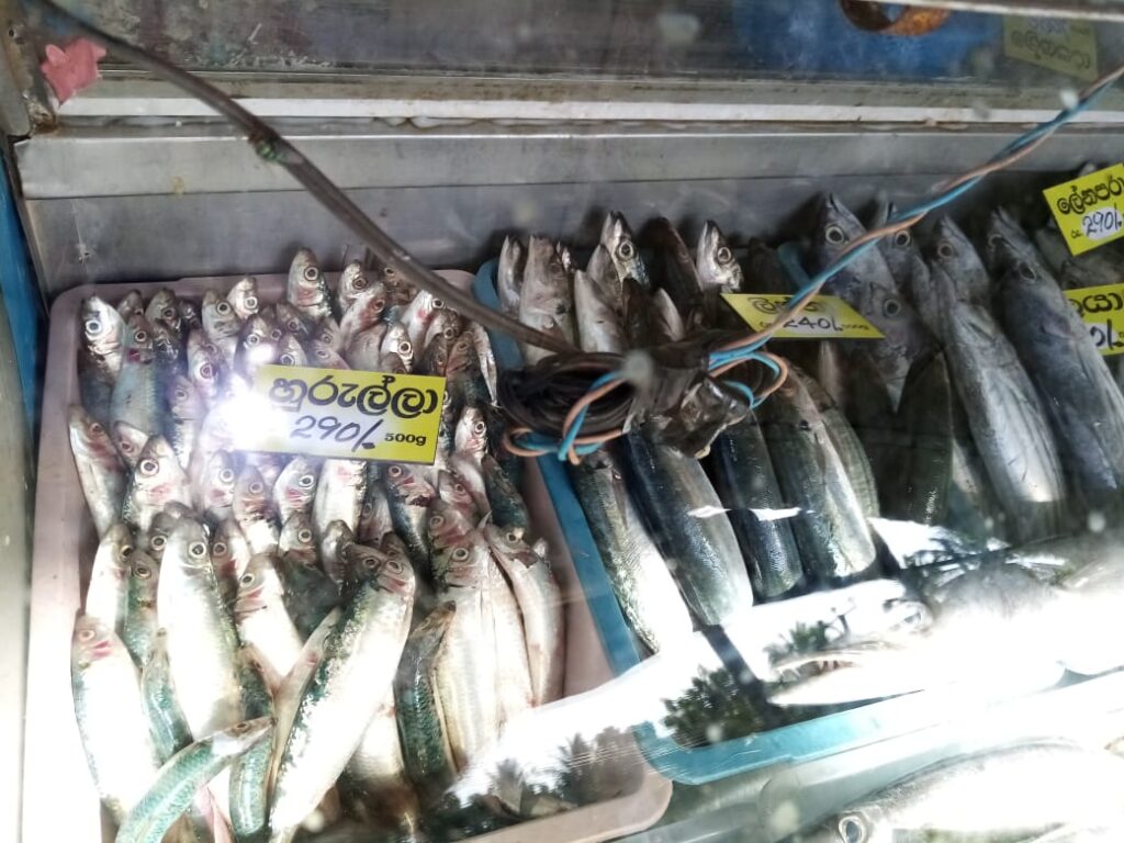 වැල්ලටද ? රැල්ලටද ? 3 IMG 20210510 WA0010
