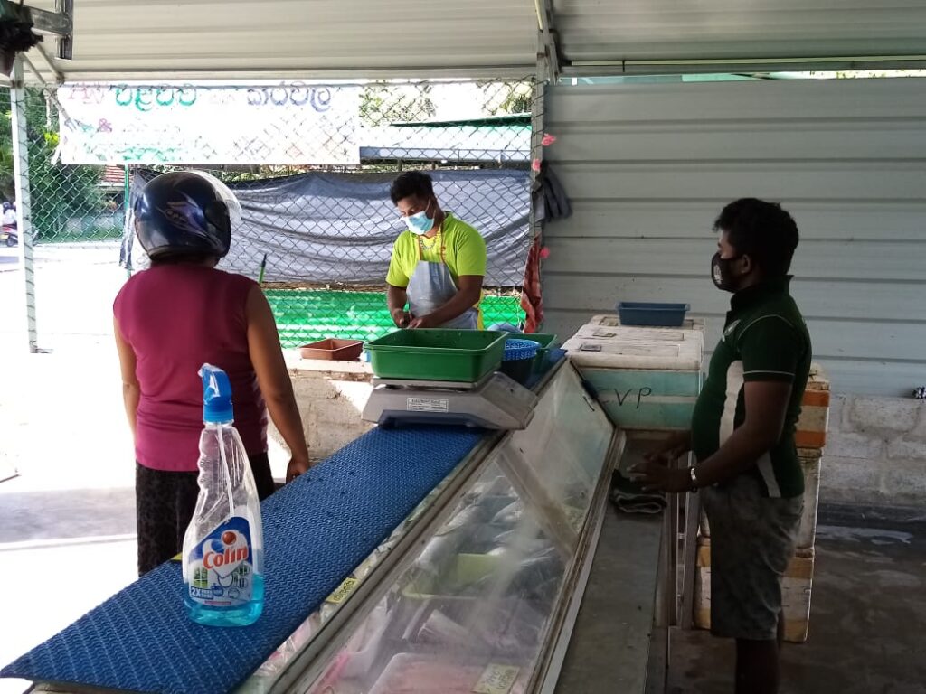 වැල්ලටද ? රැල්ලටද ? 2 IMG 20210510 WA0012