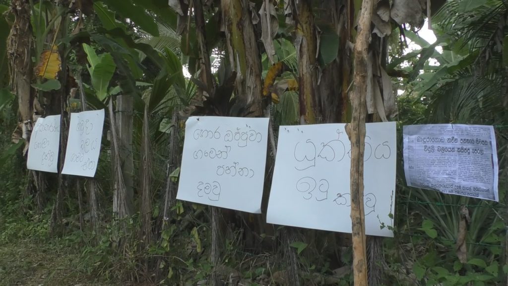 මැරයන් විසින් කඩාදැමු සිය නිවස හදාදෙන ලෙස ඉල්ලා ගහක් උඩ උපවාසයක්.. 2 2