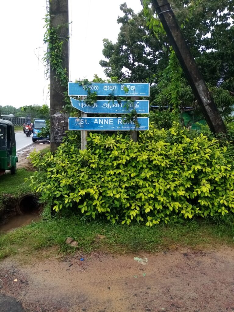 පිට්ටනියක් හදන්න පස් ඇද මාර්ගය වාරිමාර්ගයක් කරයි. 1 IMG 20211112 WA0077