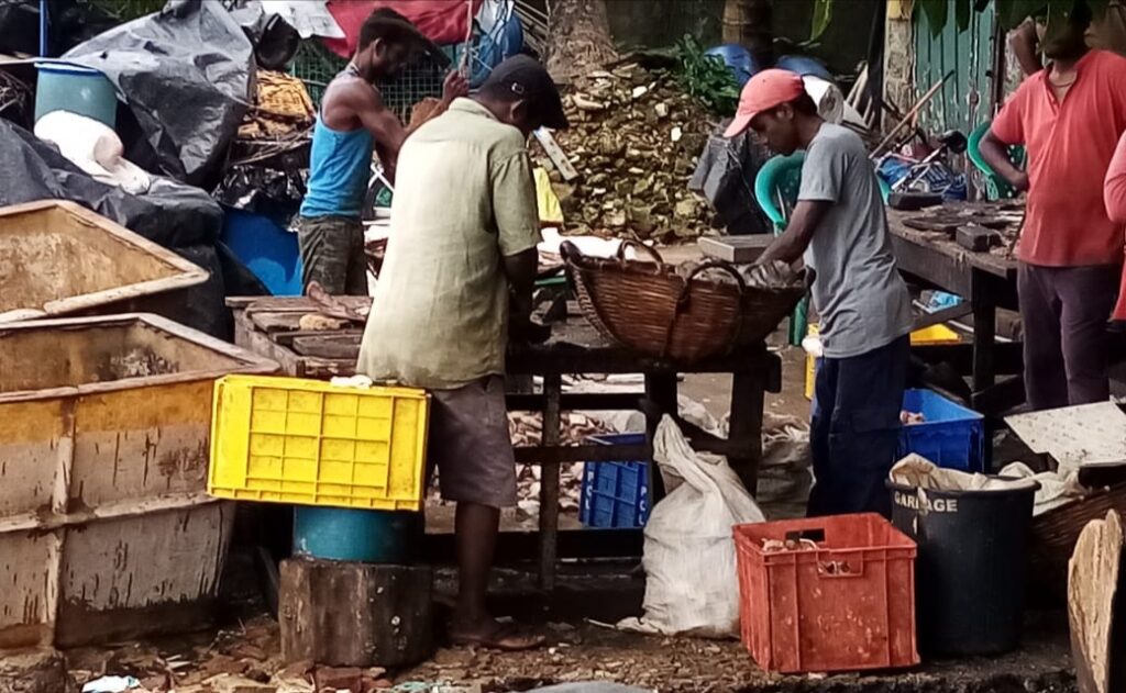 මාළු කරවල වී, අවට අපායක් කරවන මංකුලියේ කරවල වාඩි… 2 IMG 20211116 082245
