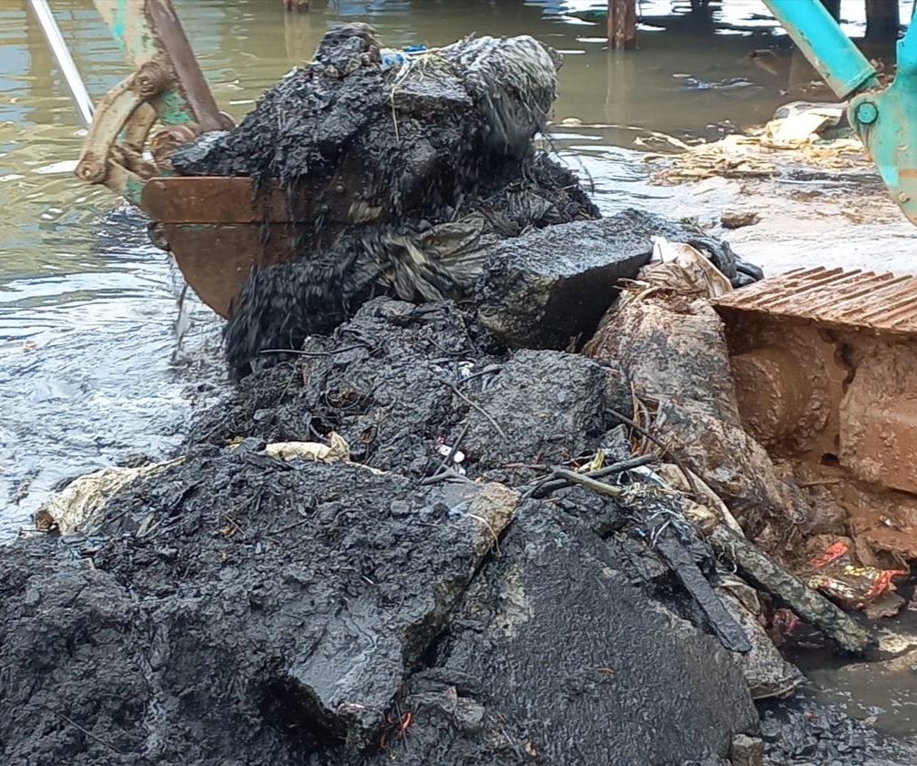 මීගමුව කලපුව ගොඩකළ කරවල ව්යාපාරිකයන්ට වැඩවරදි ! 3 5කුලිය4 1
