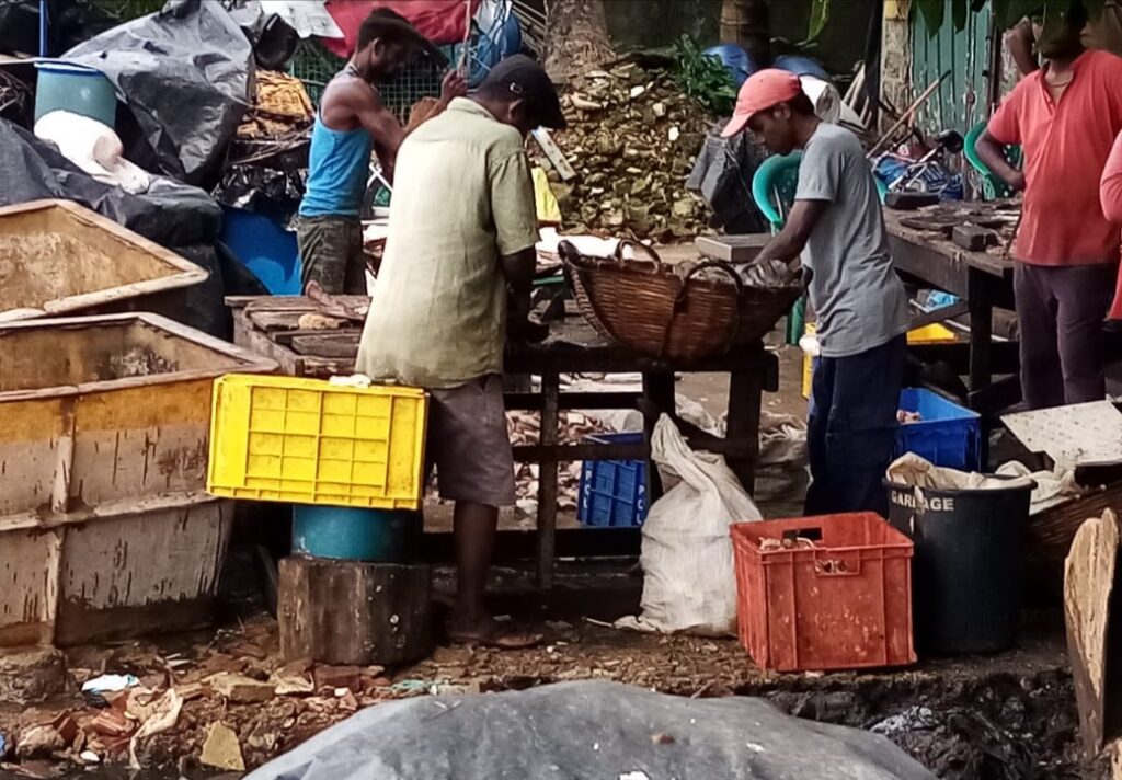 මීගමු කලපුව වනසන්නෝ වෙරළ සංරක්ෂණයේ දැලට කොටුවෙති. 3