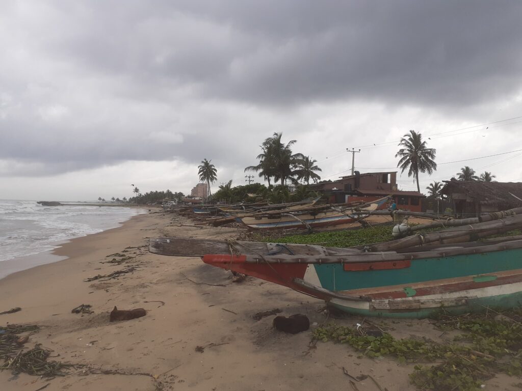 186513622 10220304101327931 6218761079417715868 n